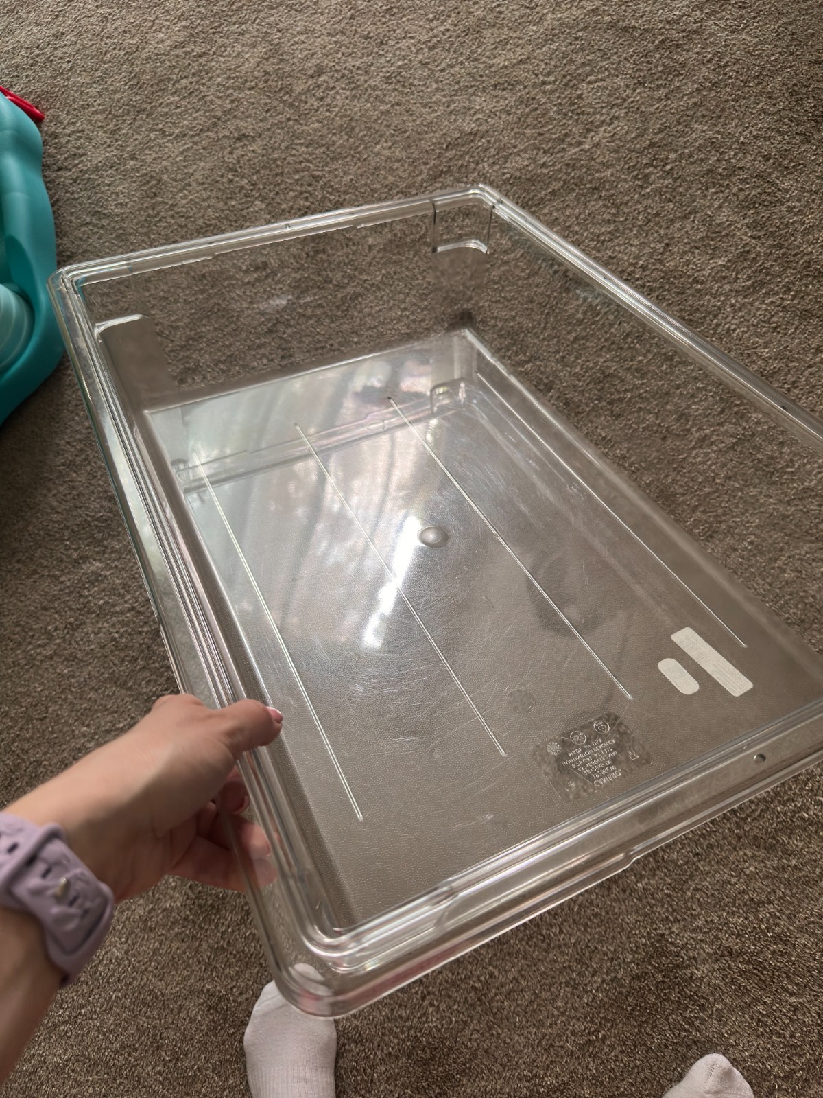 Cambro 18266CW135 Camwear Clear 18″ x 26″ x 6″ Food Storage Box NEW