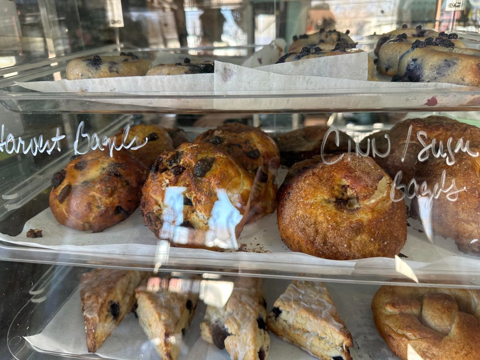Commercial Bakery Case with Removable Trays, Magnetic Doors