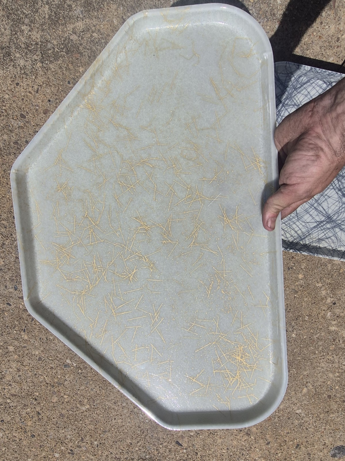 Cambro 1422tr526 14″x22″ Trapezoid Galaxy Gold Antique Parchment Customizable…
