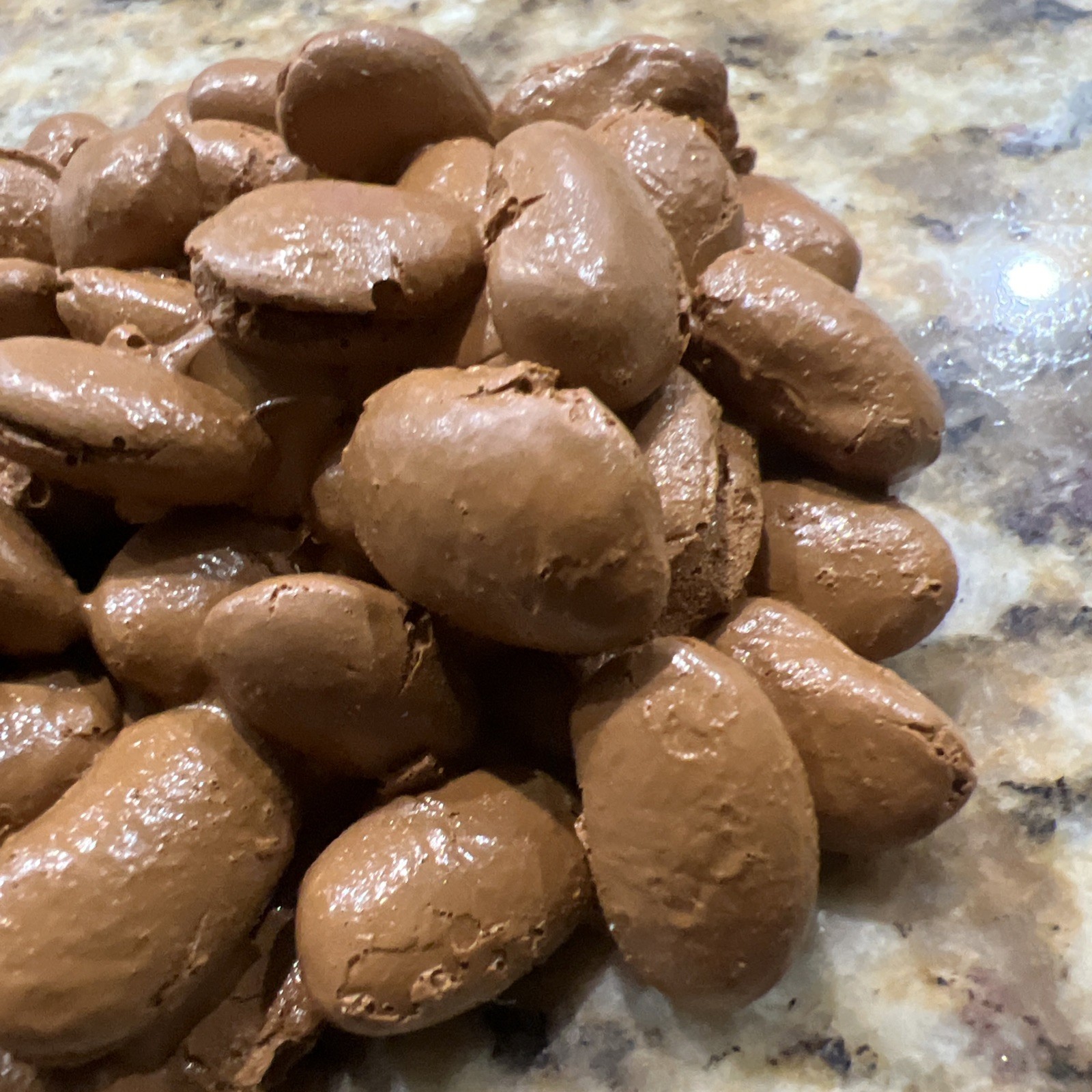 HEALTH EDCO FAUX FOOD LOOSE COFFEE BEANS EDUCATIONAL PROP DISPLAY FREE SHIP