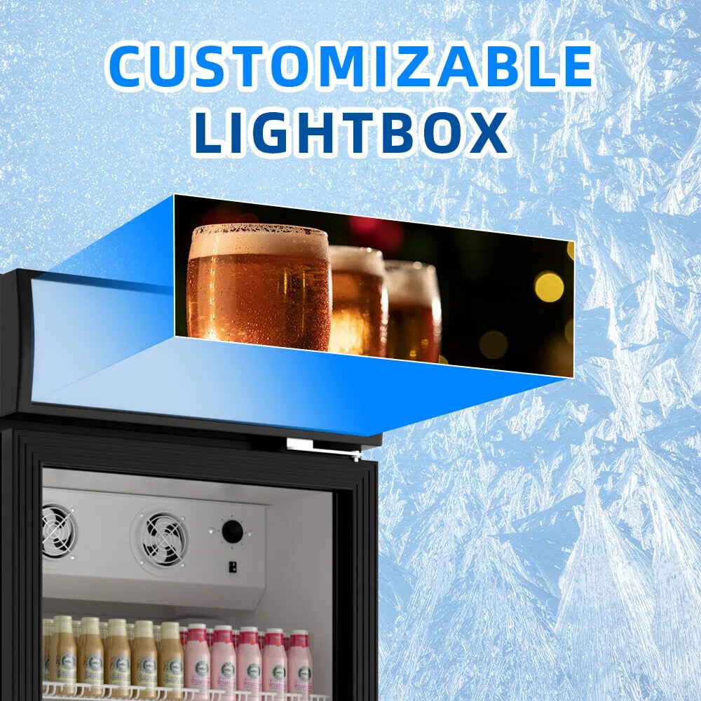 Display Merchandiser Refrigerator Glass Door Beverage Cooler W/LED 17 Cu.Ft NEW